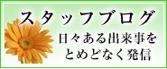 スタッフブログ